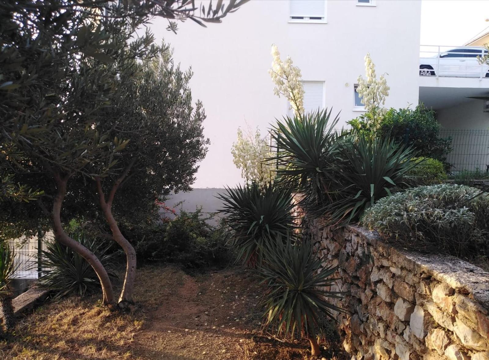 Apartment Franjo Senj  Exterior foto